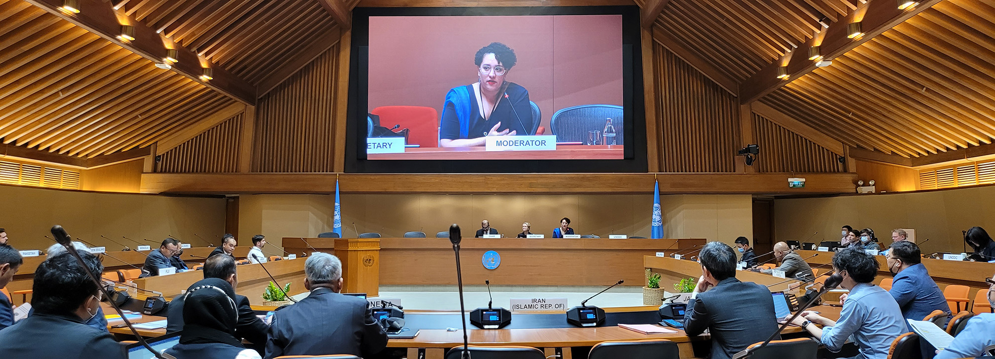 Karen Peters of UNODC leads a discussion on alternatives to conviction or imprisonment for drug-related offences